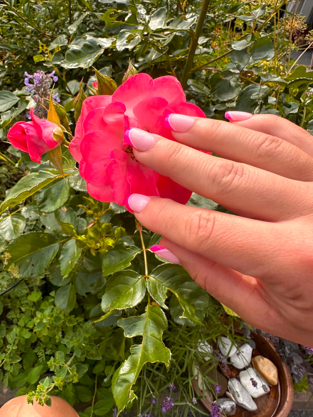 Square Press On Nails | Mini Pink French | Short | Touch of Capital Nails