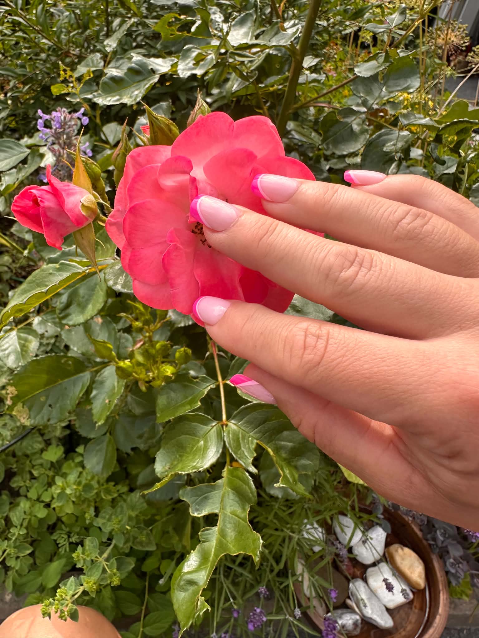 Square Press On Nails | Mini Pink French | Short | Touch of Capital Nails
